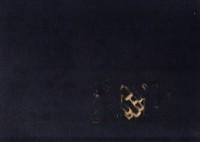 Leeuwen. P. van - Gedenkboek P. van Leeuwen Buizen 1924-1954