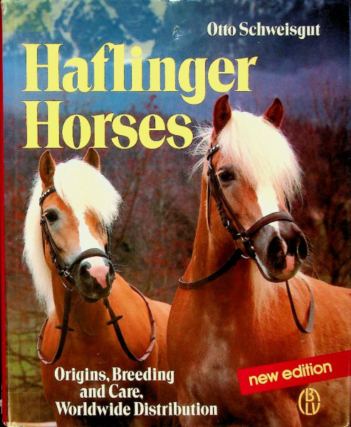 Haflinger Horses