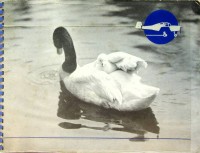 Genaral Aircraft Ltd. - Brochure The Cygnet General Aircraft Ltd.. a9