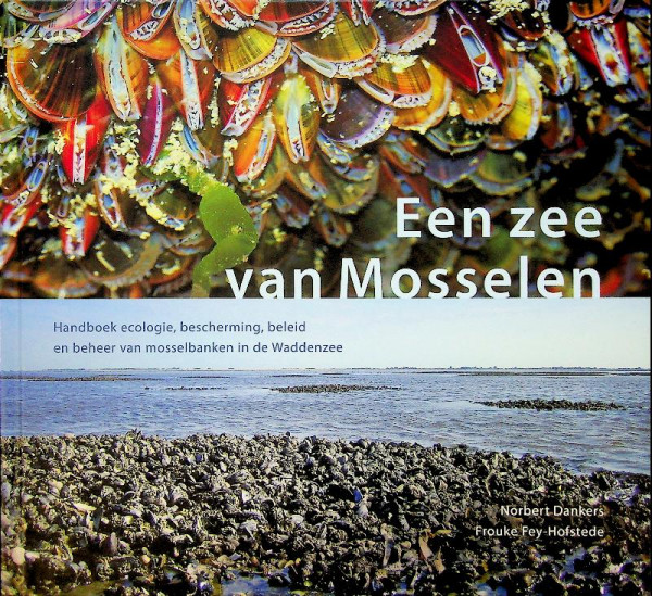 Een zee van Mosselen