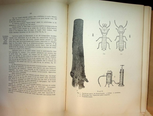 Handboek voor de Rubbercultuur in Nederlandsch-Indie