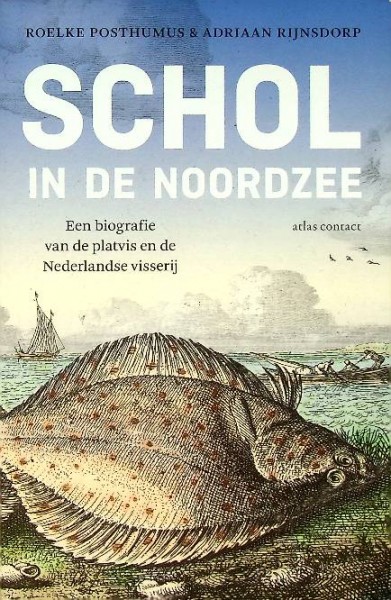 Schol in de Noordzee