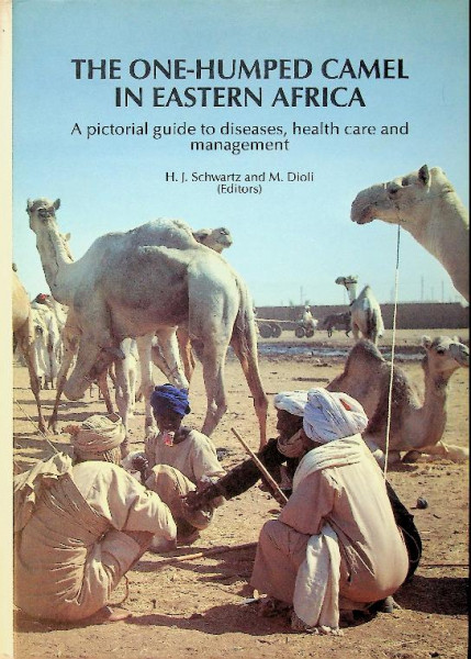 The One-Humped Camel in Eastern Africa